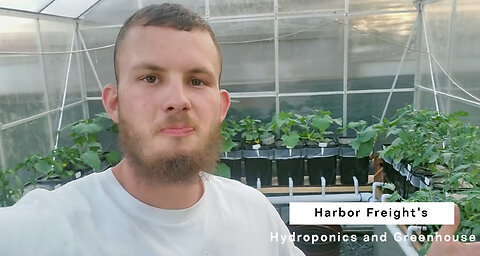 Overview of Harbor Freight's Hydroponics and Greenhouse