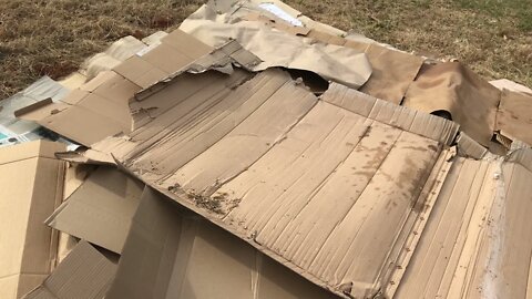 Using a Cardboard Weed Barrier on Tree Nursery At Home