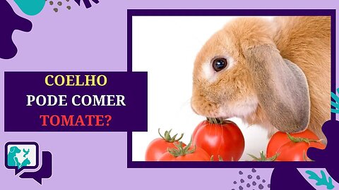 COELHO PODE COMER TOMATE?