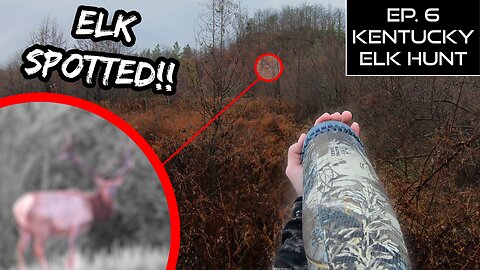 My LAST Chance at an Elk!! | We Found the Bull!!