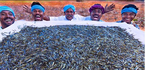 Cooking 10 MILLION TINY FISHES