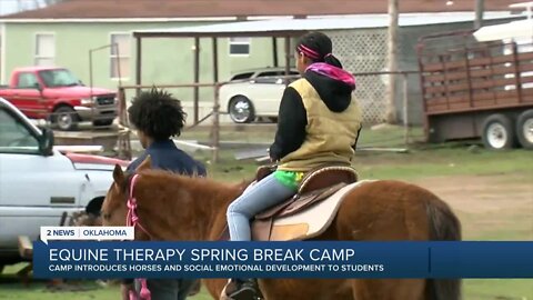 Equine Therapy Spring Break Camp