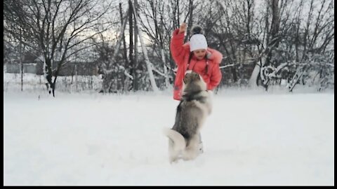 A aggressive dog attacks on girl