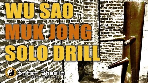 Wing Chun Intercepting Hand Series | Wu Sao | Wooden Dummy Drill