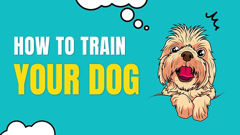 How To Train your Dog