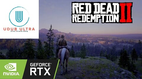 Red Dead Redemption 2 | PC Max Settings 4k Gameplay | RTX 3090 | Campaign Gameplay | DLSS Quality