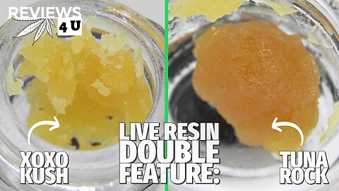 XOXO KUSH & TUNA ROCK LIVE RESIN REVIEWS | THC REVIEWS 4 U