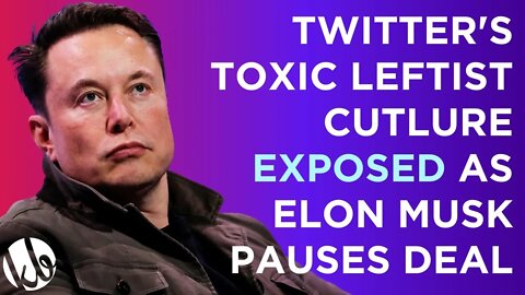 Twitter's toxic leftist corporate culture EXPOSED as Elon Musk pauses purchase over spam accounts