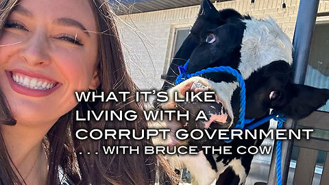 What It's Like Living With A Corrupt Government - With Bruce the Cow