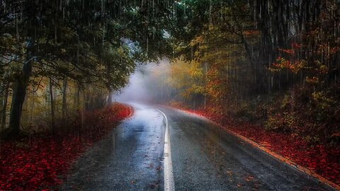 Deep Sleep ASMR | Soothing Piano & Rain Sounds with Autumn Road View | Ultimate Stress Relief