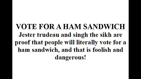 VOTE FOR A HAM SANDWICH