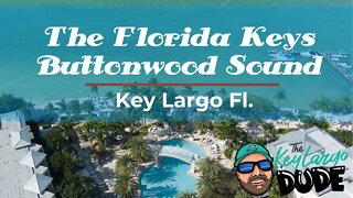 Key Largo Buttonwood Sound in the Florida Keys