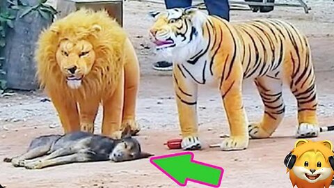 Prank Dog Funny & fake Lion and Fake Tiger