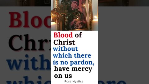 Blood of Christ, without which there is no pardon, have mercy on us #shorts