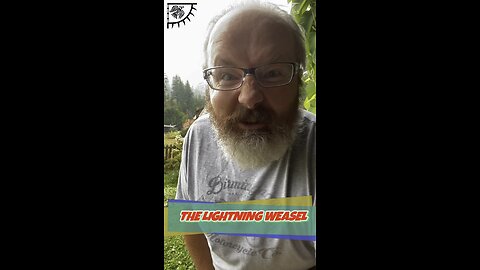 THE LIGHTNING WEASEL #storytime #lightning #weasel