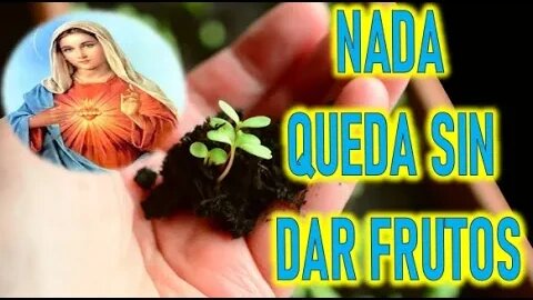 NADA QUEDA SIN DAR FRUTO - MARIA SANTISIMA A LUZ DE MARIA