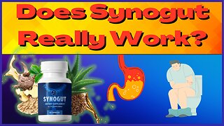 SYNOGUT REVIEW 2023 - SYNOGUT CUSTOMER REVIEW - SYNOGUT REVIEWS