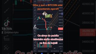 BITCOIN HOJE EM 1 MINUTO - 28/01/2022 - CRIPTOMOEDAS CRIPTO ALTCOINS GAMECOINS METAVERSO CRYPTO