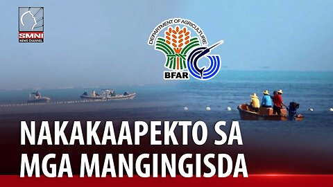 China's floating barriers, nakakaapekto sa fishing activity ng mga mangingisda —BFAR