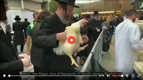 CHICKEN HOLOCAUST IN NEW YORK