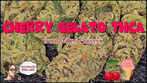 Cherry Gelato THCa 🍒🍨 | Wilted Flowers