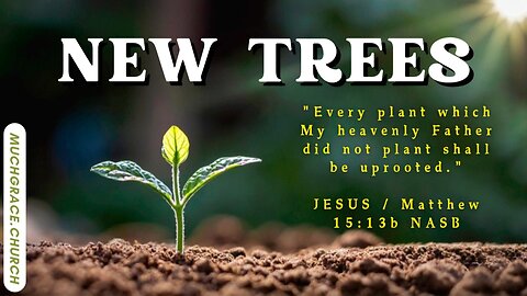 New Trees (1) : Word of Faith