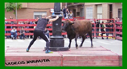 MARCILLA ( NAVARRA ) TARDE VACAS EN LAS PLAZAS ( MARTES 11 OCTUBRE 2022 ) JUAN JOSE LAPARTE