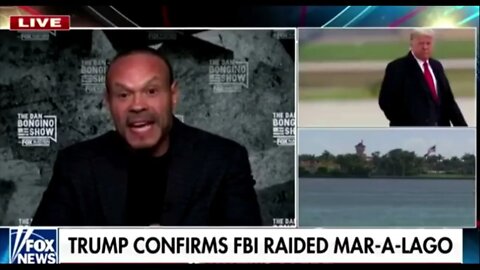 Bongino at his best!