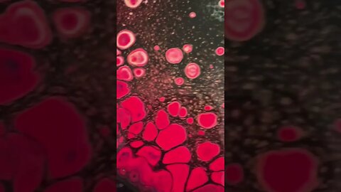 # #fluidart swipe!! Full video uploading now! Etsy! https://www.etsy.com/shop/TarasTravelingPaints