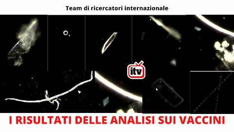 I RISULTATI DELLE ANALISI SUI VACCINI (Video 3)