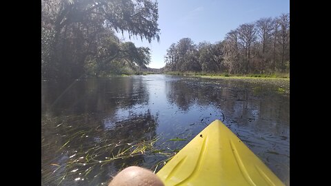 kayaking Ichetucknee River