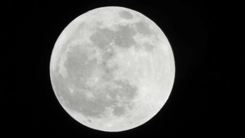 Last Full Moon of Decade in High Definition with Super Zoom, Nikon P1000