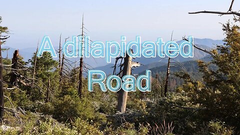 A Dilapidated Road