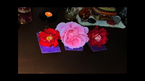 ~ PICK A ROSE ~ PICK A CARD ~ w/timestamps