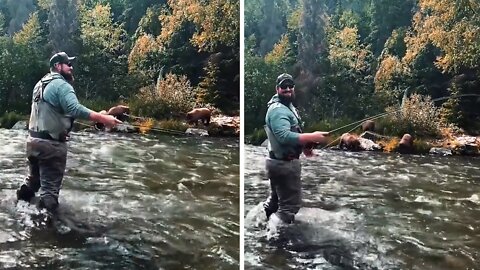 Alaskan man joins wild bears to fish for salmon