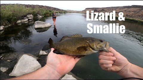 Lizard and smallmouth on the Snake River | Fishing with Ryan #3