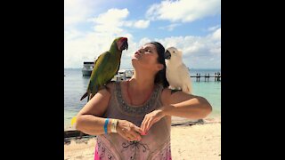 AMAZON PARROT - Singing & Dancing to Music... Her Way!