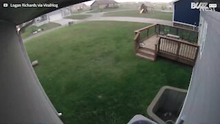 Strong wind gusts send trampolines careering down street