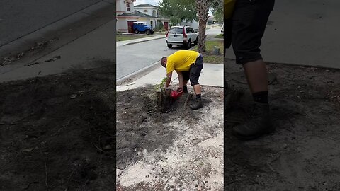 When you’re tired of asking the stump nicely. #lawncare #lawncarebusiness #treeservice #stump