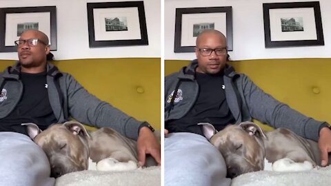 Sleeping dog hilariously wakes up to magic word