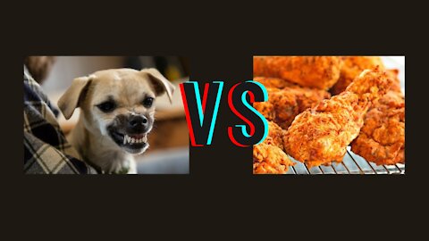 Lion heart chickens vs Dogs