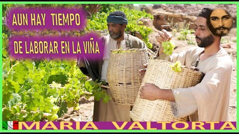 AUN HAY TIEMPO DE LABORAR EN LA VIÑA - JESUCRISTO REY EN EL EVANGELIO POR MARIA VALTORTA