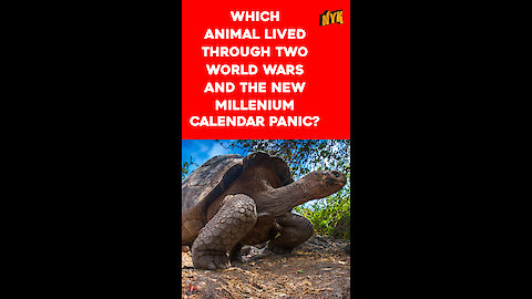 Which Vertebrate On Land Has The Longest Lifespan? *