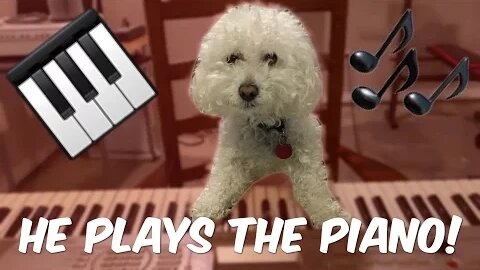 QUINCY PLAYS THE PIANO!