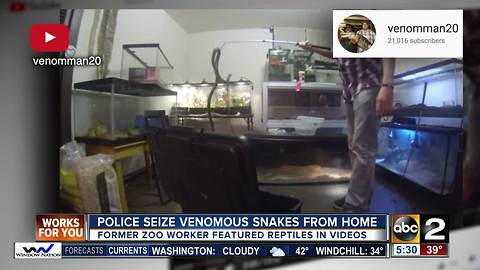 Police seize venomous snakes from home