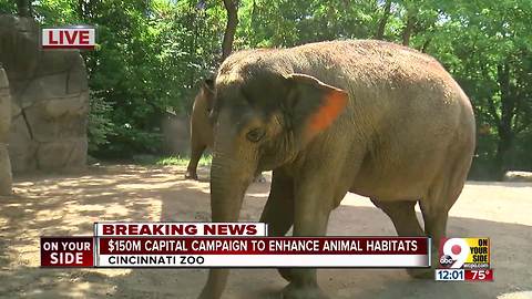 Largest gift in zoo history