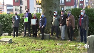 Copper Beech tree in Towson to be removed