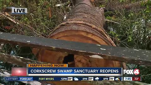 Audubon's Corkscrew Swamp Sanctuary partially reopens after Irma