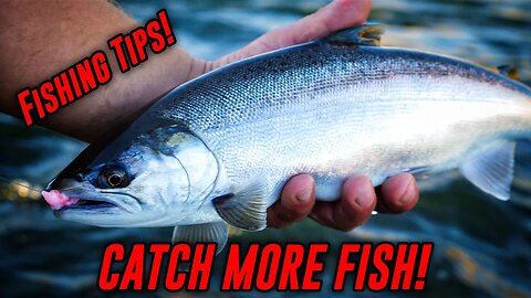 How To BACK BOUNCE Eggs For Salmon, Trout, & Steelhead. (SUPER EFFECTIVE.)