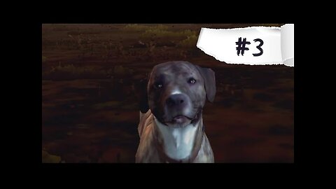 Reunion with LUCKY | INTO THE DEAD 2 GAMEPLAY #3